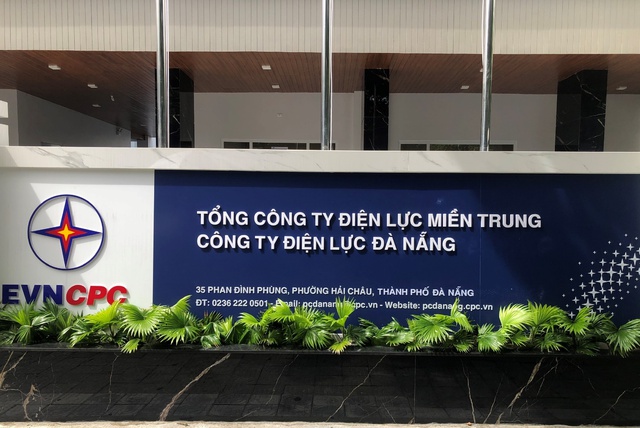 Công ty Điện lực Đà Nẵng thay đổi mô hình hoạt động- Ảnh 1.
