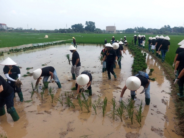 Hà Nội: Khai thác tiềm năng vùng ven đô qua mô hình du lịch nông nghiệp- Ảnh 3. Hà Nội: Khai thác tiềm năng vùng ven đô qua mô hình du lịch nông nghiệp- Ảnh 3.