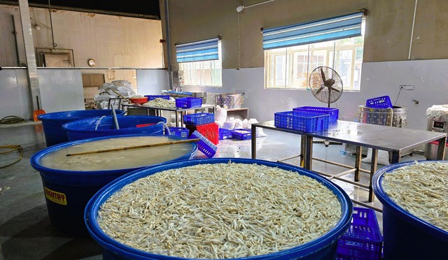 Đột kích kho đông lạnh, phát hiện hàng tấn chân gà ngâm hóa chất: Thấy chân gà có điểm này thì đừng ăn- Ảnh 1. Đột kích kho đông lạnh, phát hiện hàng tấn chân gà ngâm hóa chất: Thấy chân gà có điểm này thì đừng ăn- Ảnh 1.