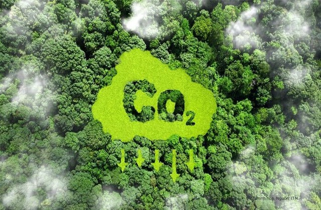 Hoàn thiện khung pháp lý để minh bạch thị trường carbon rừng- Ảnh 1.