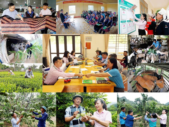 Hà Nội: NHCSXH thực hiện các mục tiêu giảm nghèo,  đảm bảo an sinh xã hội- Ảnh 1.