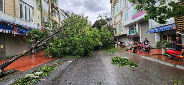 Hải Phòng chủ động ứng phó bão số 3- WIPHA- Ảnh 1.