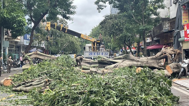 Hà Nội chủ động, tập trung ứng phó bão số 3 năm 2025- Ảnh 1. Hà Nội chủ động, tập trung ứng phó bão số 3 năm 2025- Ảnh 1.