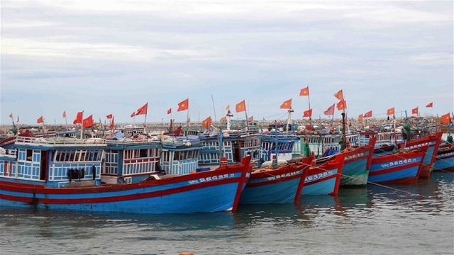 Thanh Hóa: Gần 6.600 tàu thuyền đã neo đậu, tránh trú bão an toàn- Ảnh 1. Thanh Hóa: Gần 6.600 tàu thuyền đã neo đậu, tránh trú bão an toàn- Ảnh 1.