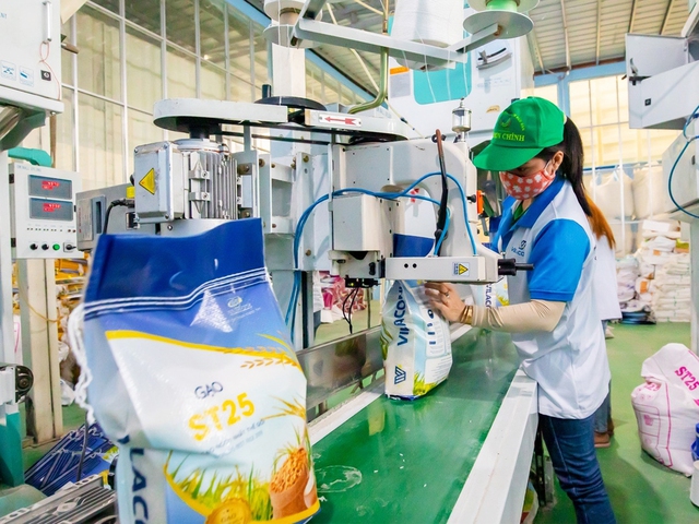 Nghệ An “kích hoạt” các giải pháp ứng phó với mưa bão- Ảnh 5. Nghệ An “kích hoạt” các giải pháp ứng phó với mưa bão- Ảnh 5.