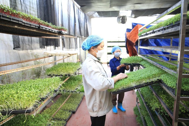 Hà Nội: Tái cơ cấu nông nghiệp theo mô hình sinh thái hiện đại và bền vững- Ảnh 1. Hà Nội: Tái cơ cấu nông nghiệp theo mô hình sinh thái hiện đại và bền vững- Ảnh 1.