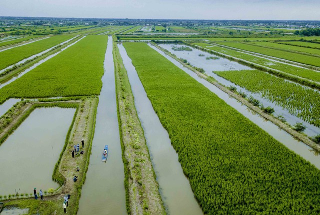 Cà Mau định vị lại thương hiệu, đưa du lịch bứt phá sau sáp nhập- Ảnh 3. Cà Mau định vị lại thương hiệu, đưa du lịch bứt phá sau sáp nhập- Ảnh 3.