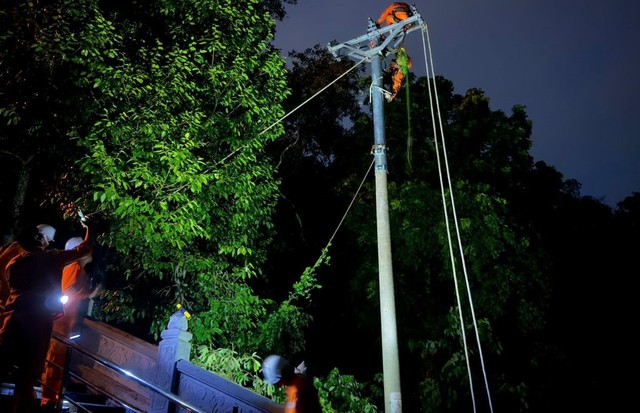 Thanh Hóa: Phát huy phương châm “4 tại chỗ” ổn định cuộc sống người dân sau bão số 3- Ảnh 2. Thanh Hóa: Phát huy phương châm “4 tại chỗ” ổn định cuộc sống người dân sau bão số 3- Ảnh 2.