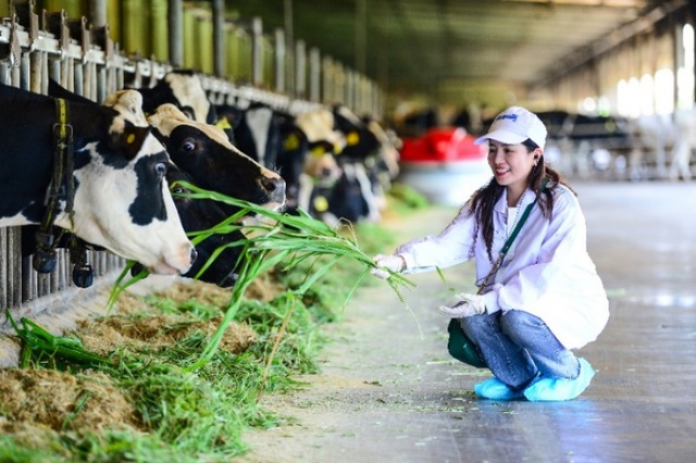 “Mở khóa tự nhiên” để phát triển bền vững - Vinamilk truyền cảm hứng đến cộng đồng doanh nghiệp- Ảnh 10.