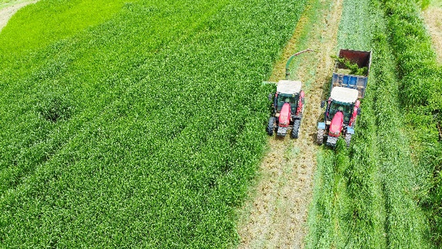 “Mở khóa tự nhiên” để phát triển bền vững - Vinamilk truyền cảm hứng đến cộng đồng doanh nghiệp- Ảnh 11.