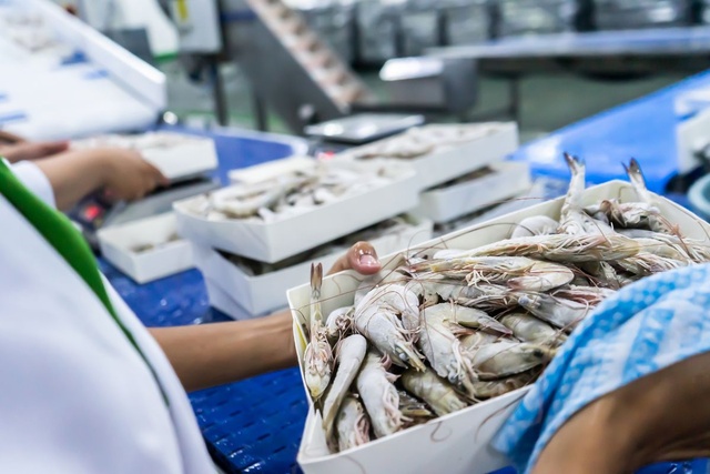 EU là thị trường tăng trưởng ổn định nhất của tôm Việt trong nửa đầu năm- Ảnh 1.