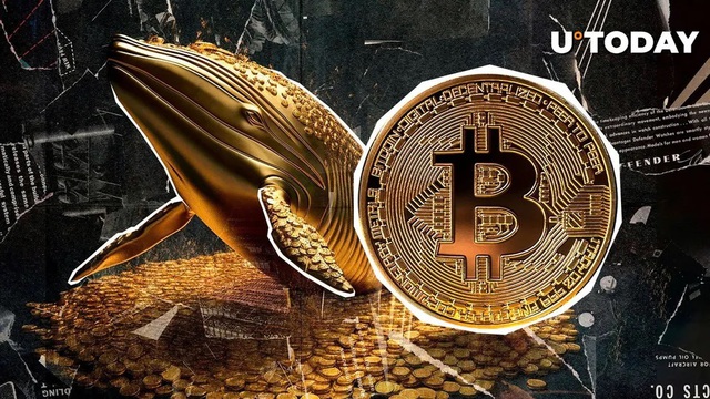 Giá Bitcoin hôm nay 30/7: Giao dịch Bitcoin lớn nhất lịch sử vừa hoàn tất- Ảnh 1.