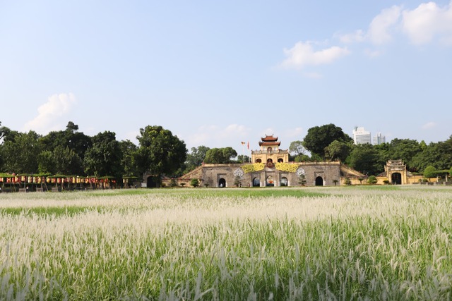 Cơ hội vàng cho du lịch Thủ đô khi vận hành mô hình chính quyền 2 cấp- Ảnh 3. Cơ hội vàng cho du lịch Thủ đô khi vận hành mô hình chính quyền 2 cấp- Ảnh 3.