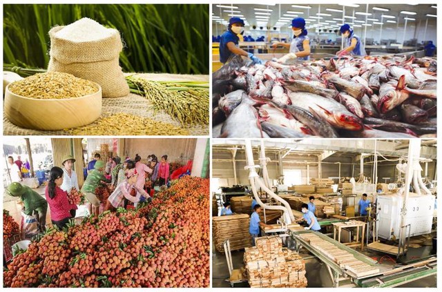 Xuất khẩu nông, lâm, thuỷ sản tăng 15,5%- Ảnh 1.