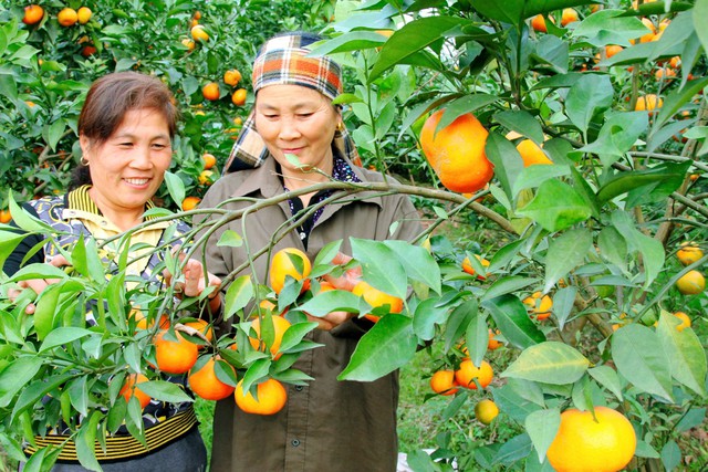 Hà Nội: Ban hành Chương trình Khuyến nông thành phố giai đoạn 2026-2030- Ảnh 1.