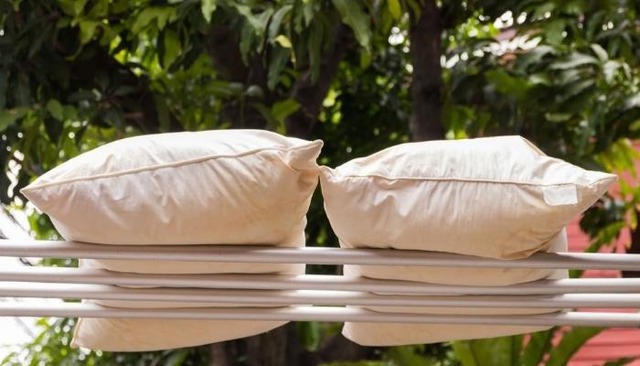 Hai món đồ trên giường là ổ vi khuẩn, bẩn dai dẳng nhưng 80% người dùng bỏ qua việc vệ sinh- Ảnh 4.