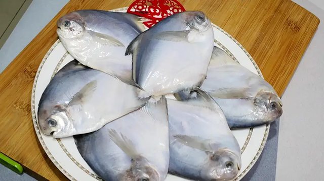 5 loại cá biển hoang dã, không thể nuôi nhân tạo, thịt rất ngon và bổ dưỡng, người dân vùng biển thường xuyên ăn!- Ảnh 3. 5 loại cá biển hoang dã, không thể nuôi nhân tạo, thịt rất ngon và bổ dưỡng, người dân vùng biển thường xuyên ăn!- Ảnh 3.
