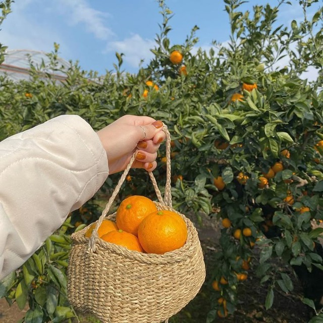 5 cách tiết kiệm tiền của mẹ, con cái cho là lỗi thời nhưng cả đời không khá lên nổi vì "cãi lời"- Ảnh 1. 5 cách tiết kiệm tiền của mẹ, con cái cho là lỗi thời nhưng cả đời không khá lên nổi vì "cãi lời"- Ảnh 1.