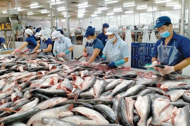 6 tháng đầu năm, xuất khẩu thủy sản đạt 5,2 tỷ USD, tăng gần 19%- Ảnh 1.