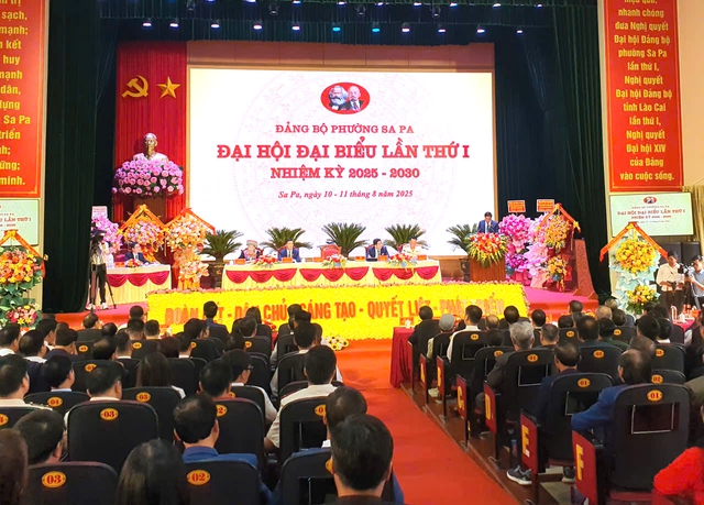 Toàn cảnh Đại hội Đại biểu Đảng bộ phường Sa Pa lần thứ I nhiệm kỳ 2025-2030. Toàn cảnh Đại hội Đại biểu Đảng bộ phường Sa Pa lần thứ I nhiệm kỳ 2025-2030.