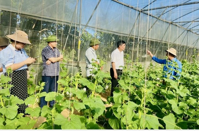 Thanh Hóa: Đẩy mạnh kích cầu tiêu dùng, phát triển thị trường nội địa- Ảnh 2. Thanh Hóa: Đẩy mạnh kích cầu tiêu dùng, phát triển thị trường nội địa- Ảnh 2.