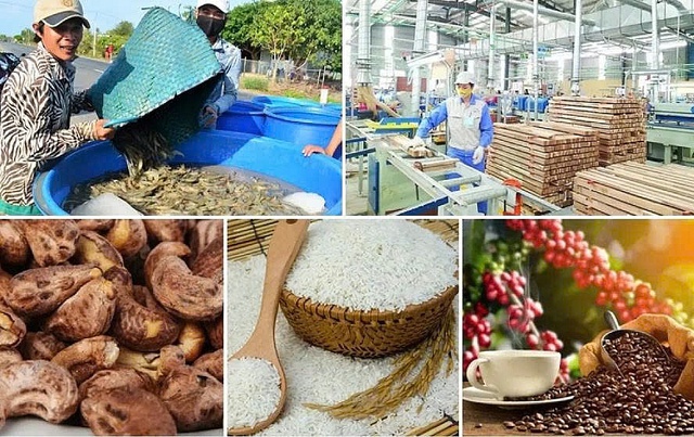 Xuất khẩu nông, lâm, thủy sản quyết tâm đạt 65 tỷ USD trong năm 2025- Ảnh 1. Xuất khẩu nông, lâm, thủy sản quyết tâm đạt 65 tỷ USD trong năm 2025- Ảnh 1.