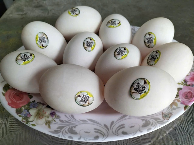 Vịt biển Đông Xuyên, nông sản sạch của người dân quê Hưng Yên- Ảnh 8.
