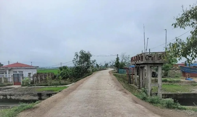 Hải Phòng: Đầu tư hơn 356 tỷ đồng xây dựng nâng cấp tuyến đê xung yếu- Ảnh 1.