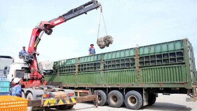 Quảng Trị: Xe chở hàng vượt tải trọng 429,29% bị phạt 333 triệu đồng- Ảnh 1.