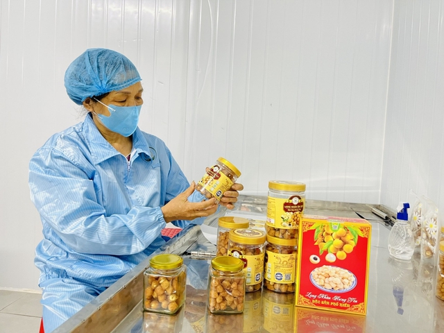 Gìn giữ và phát triển đặc sản nhãn lồng Hưng Yên- Ảnh 2. Gìn giữ và phát triển đặc sản nhãn lồng Hưng Yên- Ảnh 2.