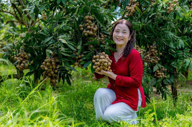 Gìn giữ và phát triển đặc sản nhãn lồng Hưng Yên- Ảnh 10. Gìn giữ và phát triển đặc sản nhãn lồng Hưng Yên- Ảnh 10.