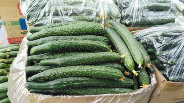 Dưa chuột "ngậm thuốc kích thích" có 3 đặc điểm này, người biết nhận ra ngay- Ảnh 1.