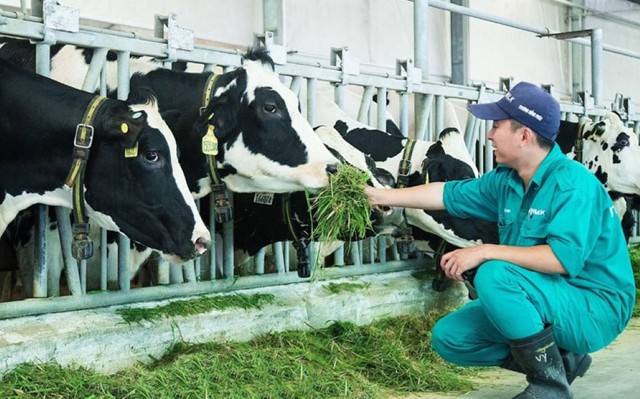 Hội Chăn nuôi Việt Nam đề xuất giải pháp phát triển nguồn nguyên liệu sữa trong nước- Ảnh 1.