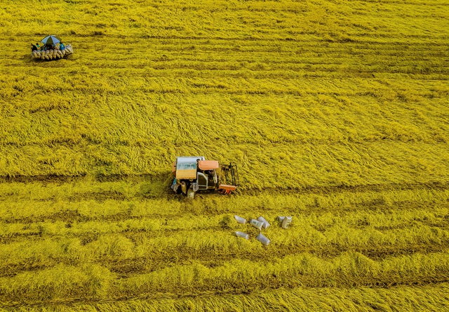 An Giang: Vĩnh Thuận nỗ lực phát triển nông nghiệp xanh, bền vững- Ảnh 4.