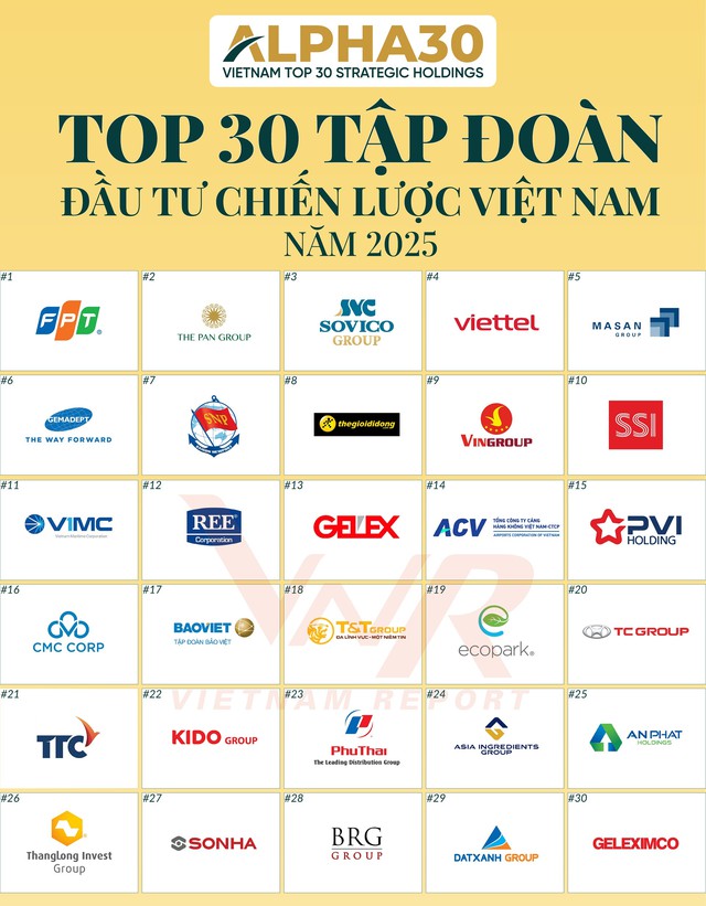 Lần đầu công bố Top 30 tập đoàn chiến lược Việt Nam - Ảnh 1. Lần đầu công bố Top 30 tập đoàn chiến lược Việt Nam - Ảnh 1.