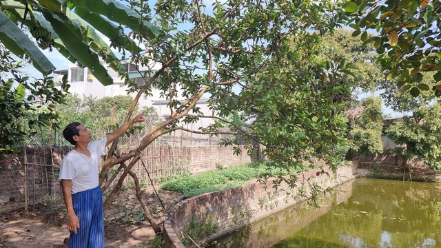 Hưng Yên: Người giữ “báu vật” làng và tinh thần học tập suốt đời- Ảnh 1. Hưng Yên: Người giữ “báu vật” làng và tinh thần học tập suốt đời- Ảnh 1.