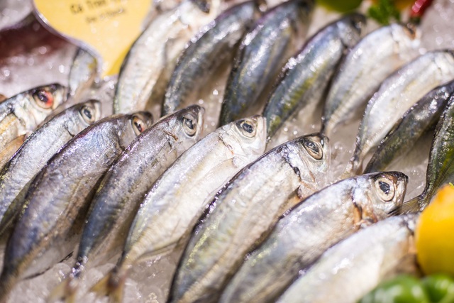TP.HCM: Sắp khai mạc Triển lãm số 1 châu Á của ngành thủy sản Việt Nam - VIETFISH 2025- Ảnh 3. TP.HCM: Sắp khai mạc Triển lãm số 1 châu Á của ngành thủy sản Việt Nam - VIETFISH 2025- Ảnh 3.