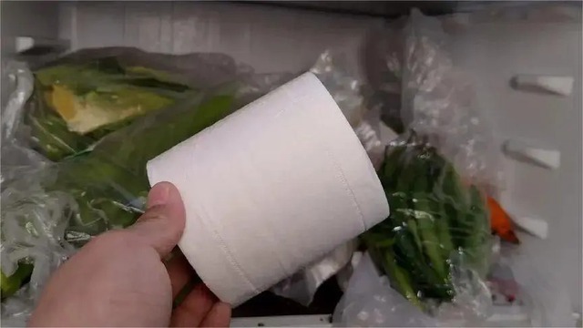 Đặt một cuộn giấy vào tủ lạnh tiết kiệm hàng triệu đồng mỗi năm, ai làm theo cũng biết ơn người chỉ mẹo- Ảnh 1.