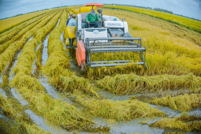 An Giang: Hoàn thành tốt nhiệm vụ KT-XH 7 tháng năm 2025- Ảnh 2.