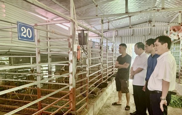Nhìn từ mô hình “Nông dân dạy nông dân”, sản xuất kinh doanh giỏi- Ảnh 2.