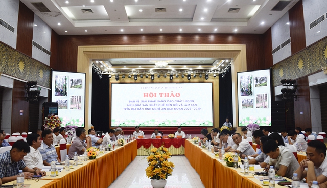 Nghệ An: Nâng cao chất lượng sản xuất, chế biến gỗ và lâm sản giai đoạn 2025 - 2030- Ảnh 1.