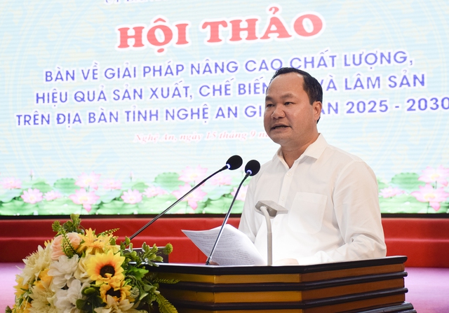Nghệ An: Nâng cao chất lượng sản xuất, chế biến gỗ và lâm sản giai đoạn 2025 - 2030- Ảnh 2.