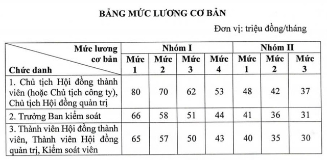 Chính phủ quy định mức lương của lãnh đạo doanh nghiệp nhà nước- Ảnh 1.
