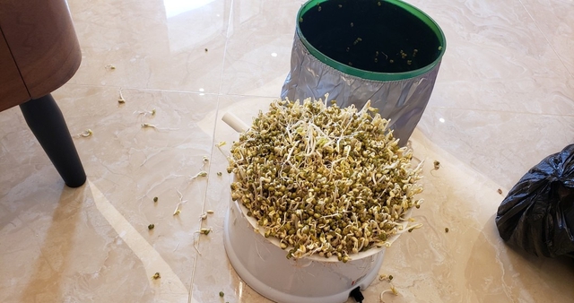 Khuyên thật ĐỪNG MUA 6 "cục nợ" này: Tỉ lệ sử dụng thấp kịch đáy, chỉ tổ bám bụi, chật nhà- Ảnh 6. Khuyên thật ĐỪNG MUA 6 "cục nợ" này: Tỉ lệ sử dụng thấp kịch đáy, chỉ tổ bám bụi, chật nhà- Ảnh 6.