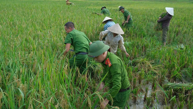 Thanh Hóa: Chủ tịch UBND tỉnh chỉ đạo công tác ứng phó với siêu bão RAGASA- Ảnh 5.