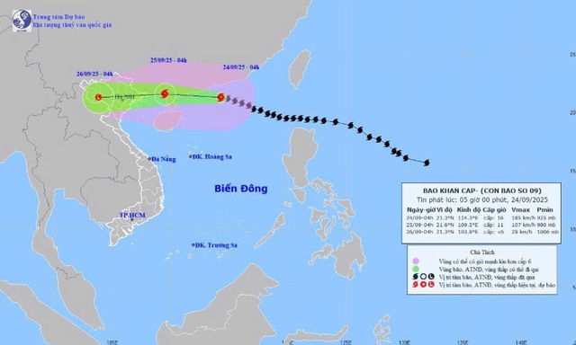 Thanh Hóa: Chủ tịch UBND tỉnh chỉ đạo công tác ứng phó với siêu bão RAGASA- Ảnh 2.