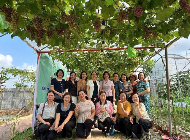 Phát triển nông nghiệp xanh tuần hoàn, tạo giá trị bền vững- Ảnh 6.