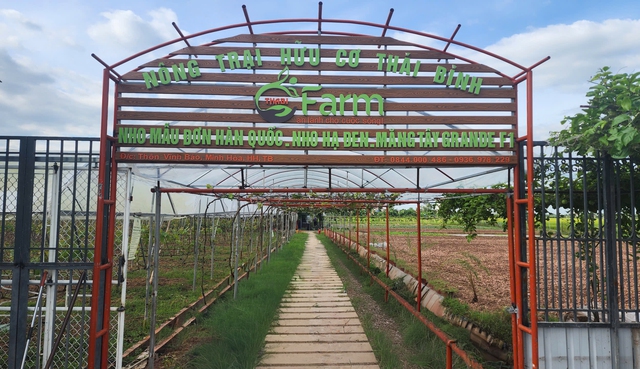 Phát triển nông nghiệp xanh tuần hoàn, tạo giá trị bền vững- Ảnh 1.