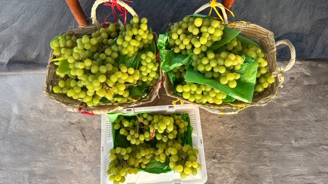 Phát triển nông nghiệp xanh tuần hoàn, tạo giá trị bền vững- Ảnh 4.