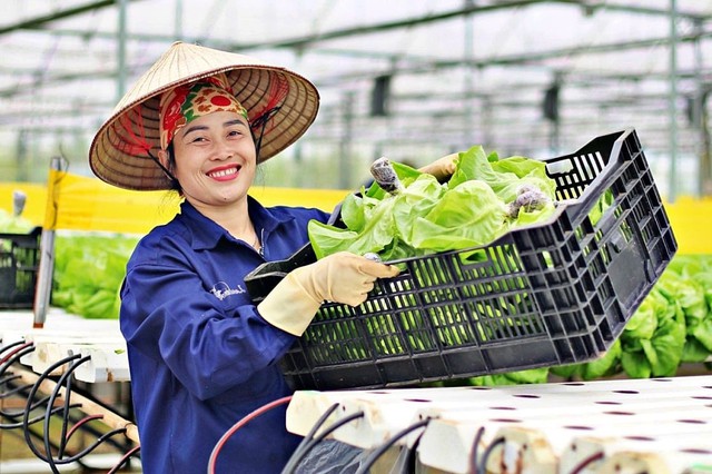 Hà Nội: Đẩy mạnh ứng dụng mô hình kinh tế tuần hoàn - Ảnh 1.